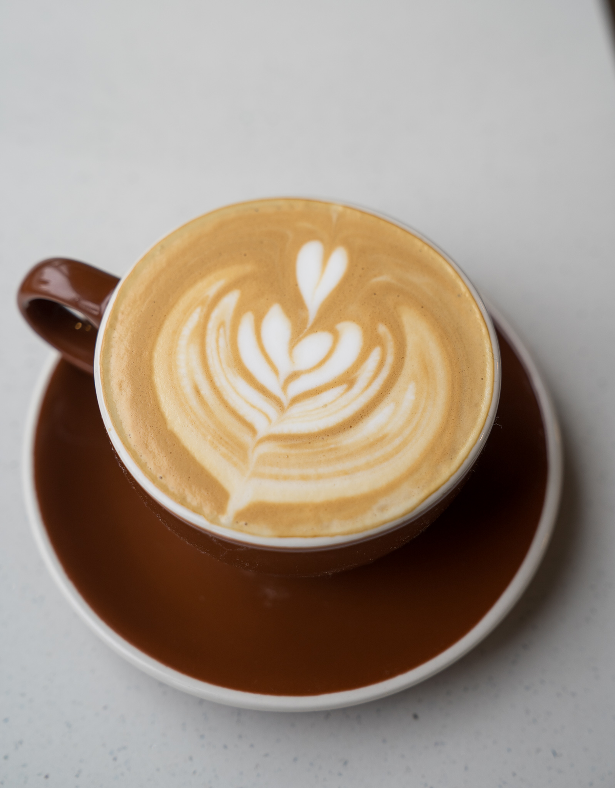 Mocha